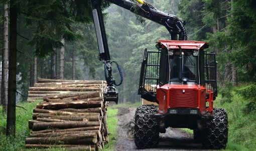 Forestry