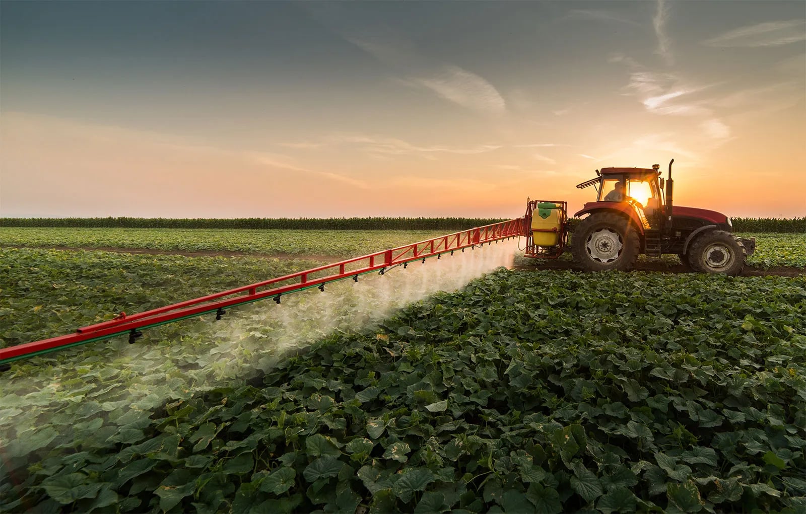 Agriculture